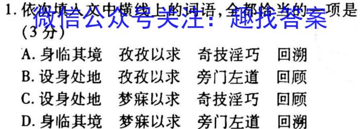 2023届名校之约·中考导向总复习模拟样卷(六)6语文