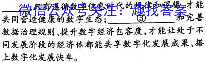 安徽省2023年名校之约·中考导向总复*模拟样卷（九）语文