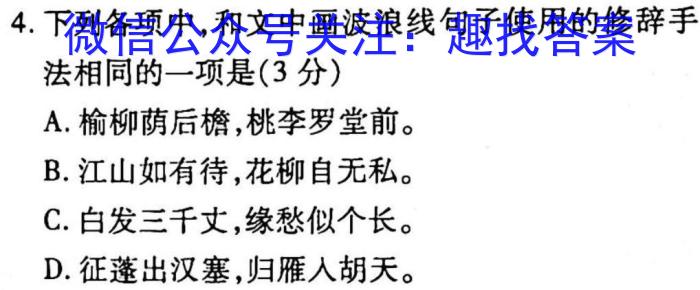 2023年新高考模拟冲刺卷(四)4语文