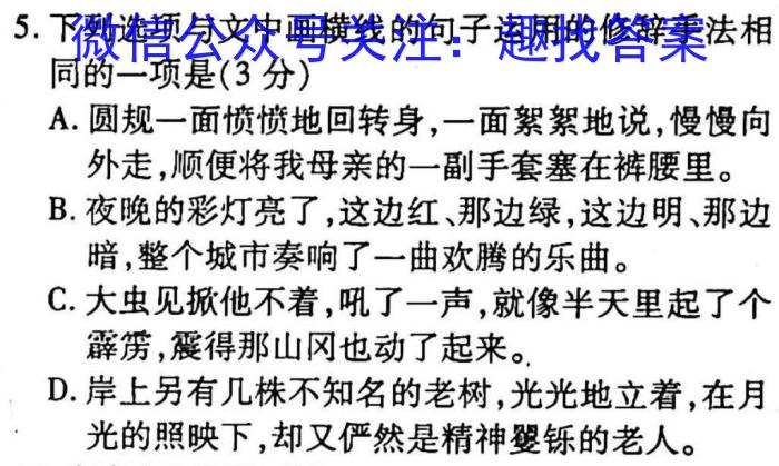 江西省2023届九年级江西中考总复习模拟卷（三）语文