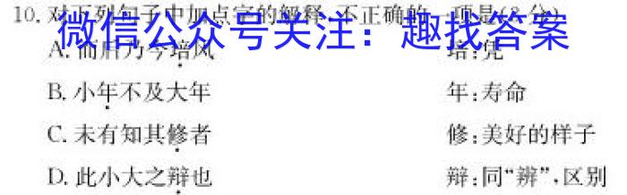 2023年高考桂林河池防城港市联合调研考试语文