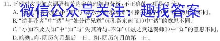 安徽省六安市2023届九年级第一学期期末质量监测语文