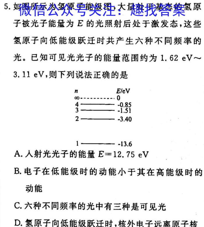 龙岩市2023高中毕业班三月教学质量检测.物理