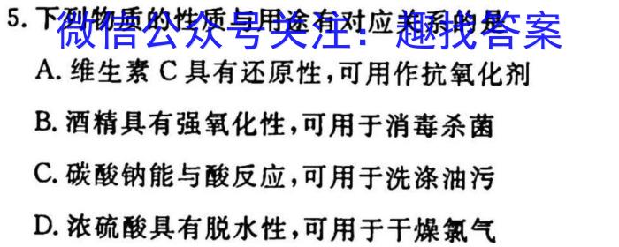 2023年安徽省教育教学联盟大联考·中考密卷（一）化学