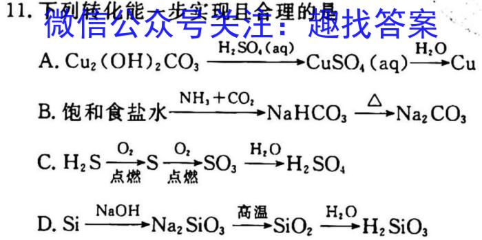 2023年河北省九年级基础摸底考试（一）化学