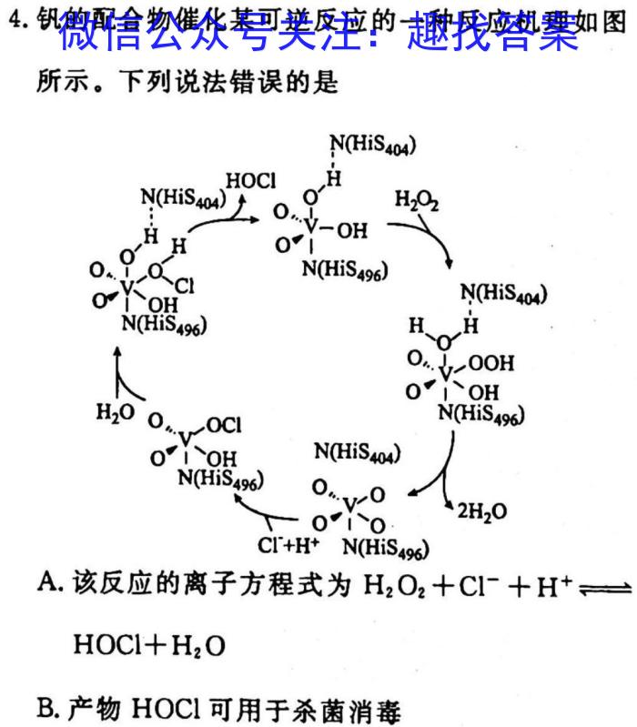 2022~2023学年核心突破QG(十九)19化学