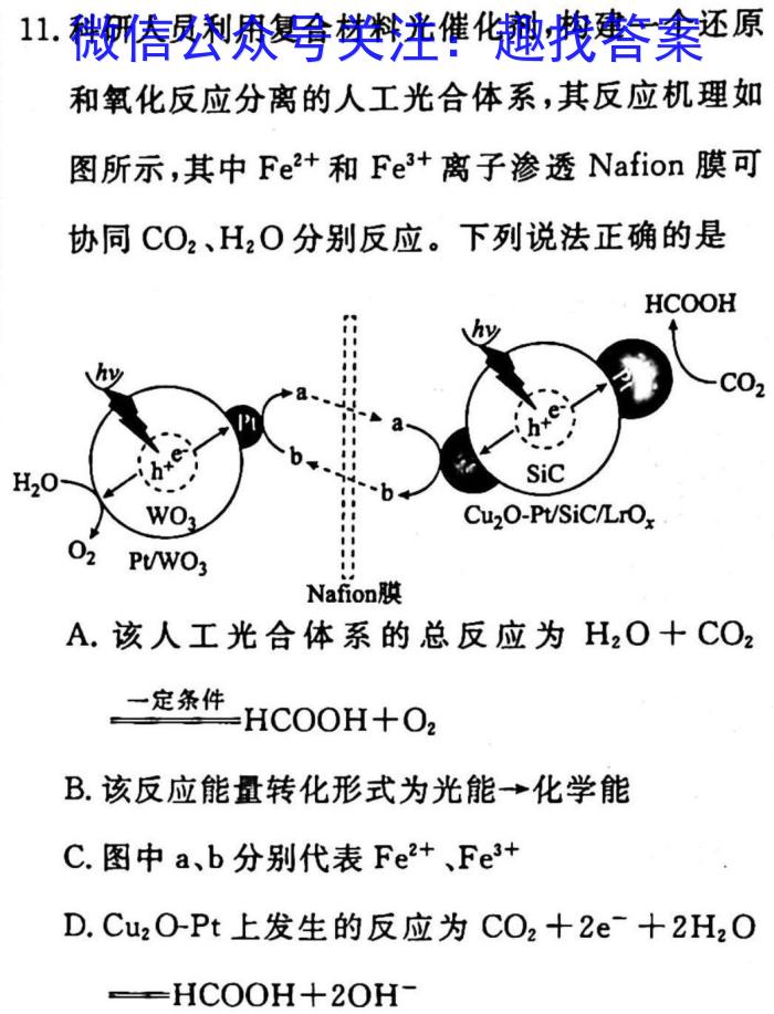 广东省燕博园2023届高三年级综合能力测试(CAT)(新高考Ⅰ卷)化学