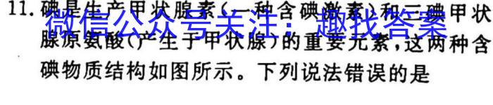 023年陕西省初中学业水平考试全真模拟（三）化学"