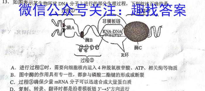 安徽省2023届第二学期九年级作业辅导练*生物试卷答案