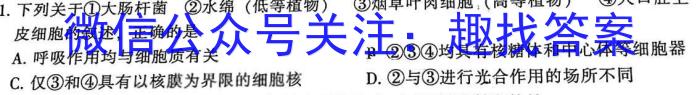中考必刷卷·安徽省2023年安徽中考第一轮复习卷(八)8生物
