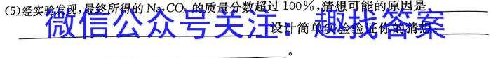 江淮名卷·2023年中考模拟信息卷(二)2化学