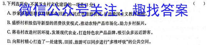 青桐鸣高考冲刺2023年普通高等学校招生全国统一考试冲刺卷(四)语文