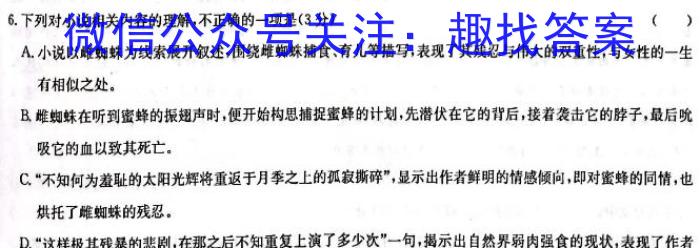 中考必刷卷·安徽省2023年安徽中考第一轮复习卷(三)3语文