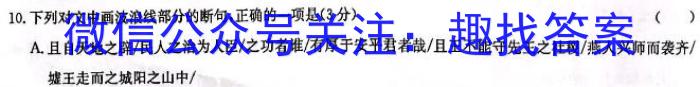 2023年湖南省高三年级高考冲刺试卷（二）语文