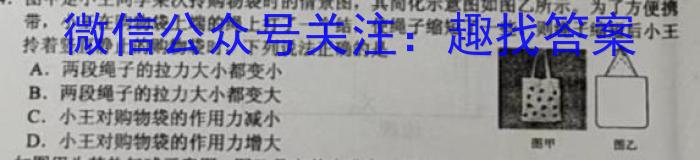 江西省2023届九年级《学业测评》分段训练（五）l物理