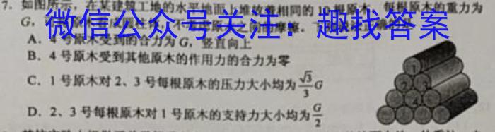安徽省2023届九年级下学期教学质量调研考试q物理