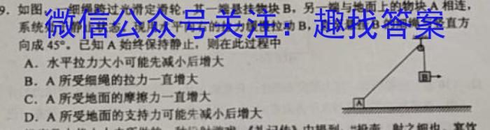 安徽省中考必刷卷·2023年名校内部卷（一）.物理