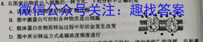 天一大联考 2024-2023学年高二年级阶段性测试(三)3生物