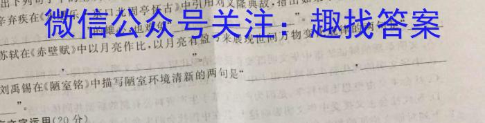 2022-2023学年度下学期高三年级第二次综合素养评价(HZ)语文