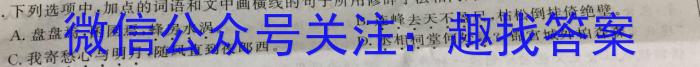 湖南省2023年初中学业水平考试模拟试卷（卷三）语文