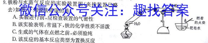 安徽省合肥市2023届九年级随堂练习（下学期第一次中考模拟）化学