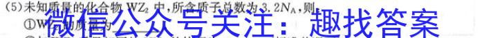 山西省2023年中考总复习预测模拟卷（五）化学