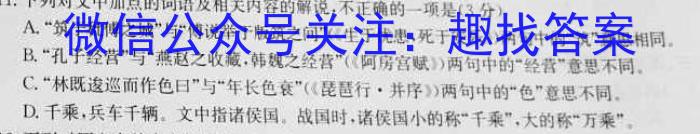 安师联盟2023年中考权威预测模拟考试（九）语文