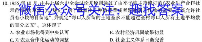 深圳市2022-2023学年初三年级中考适应性考试历史