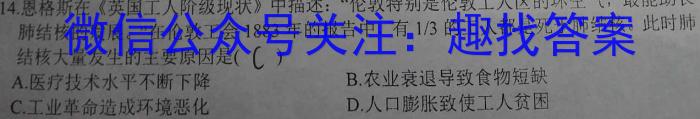 2023年安徽省教育教学联盟大联考·中考密卷（一）历史