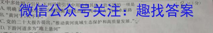 安徽省2023届九年级学情诊断考试语文