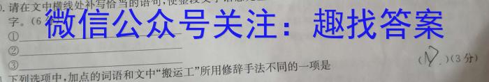 2022-023学年安徽省九年级下学期阶段性质量检测（六）语文