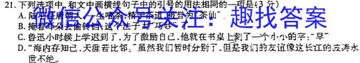 2023年陕西省初中学业水平考试·全真模拟卷（二）B版语文