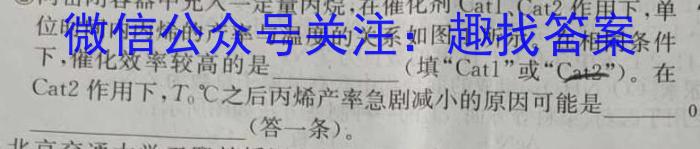 【省份未知】2023年初中毕业班学业考试模拟试题化学