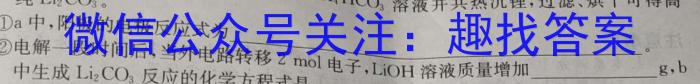 山西省实验中学2023届九年级第二学期第五次阶段性测评（卷）化学