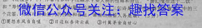 2023届九师联盟高三年级3月联考（新高考）语文