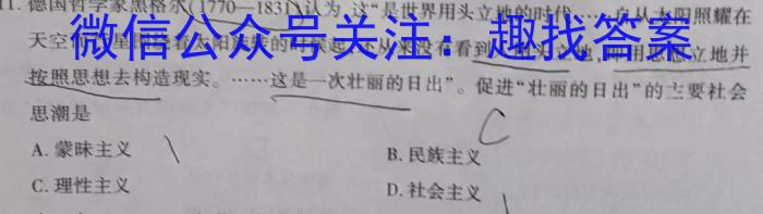 凤庆县2022-2023学年上学期九年级期末阶段性教学水平诊断监测(23-CZ70c)历史