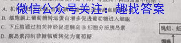 2023吉林二调高三3月联考生物试卷答案