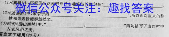 安徽省2023年九年级第一次教学质量检测(23-CZ140c)语文