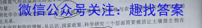 2023年湖北省新高考信息卷(三)语文