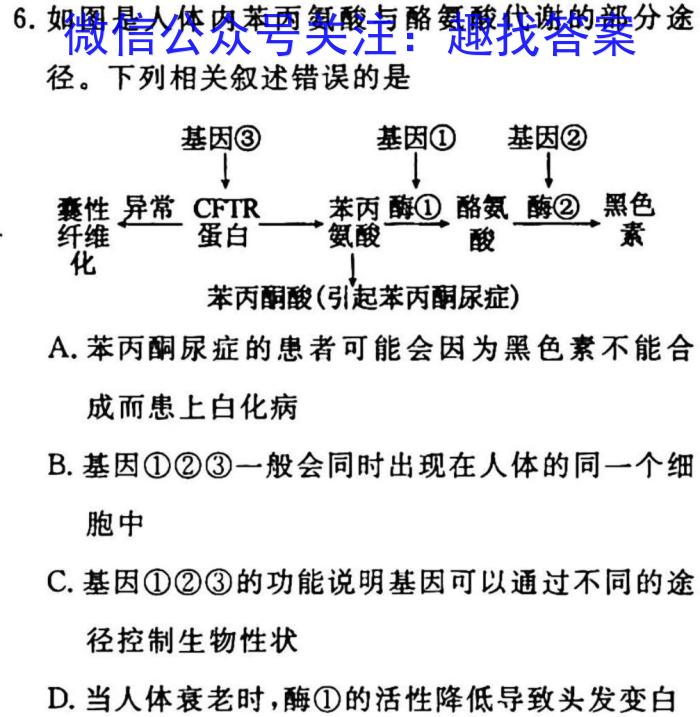 2023届新疆维吾尔自治区普通高考第一次适应性检测生物试卷答案
