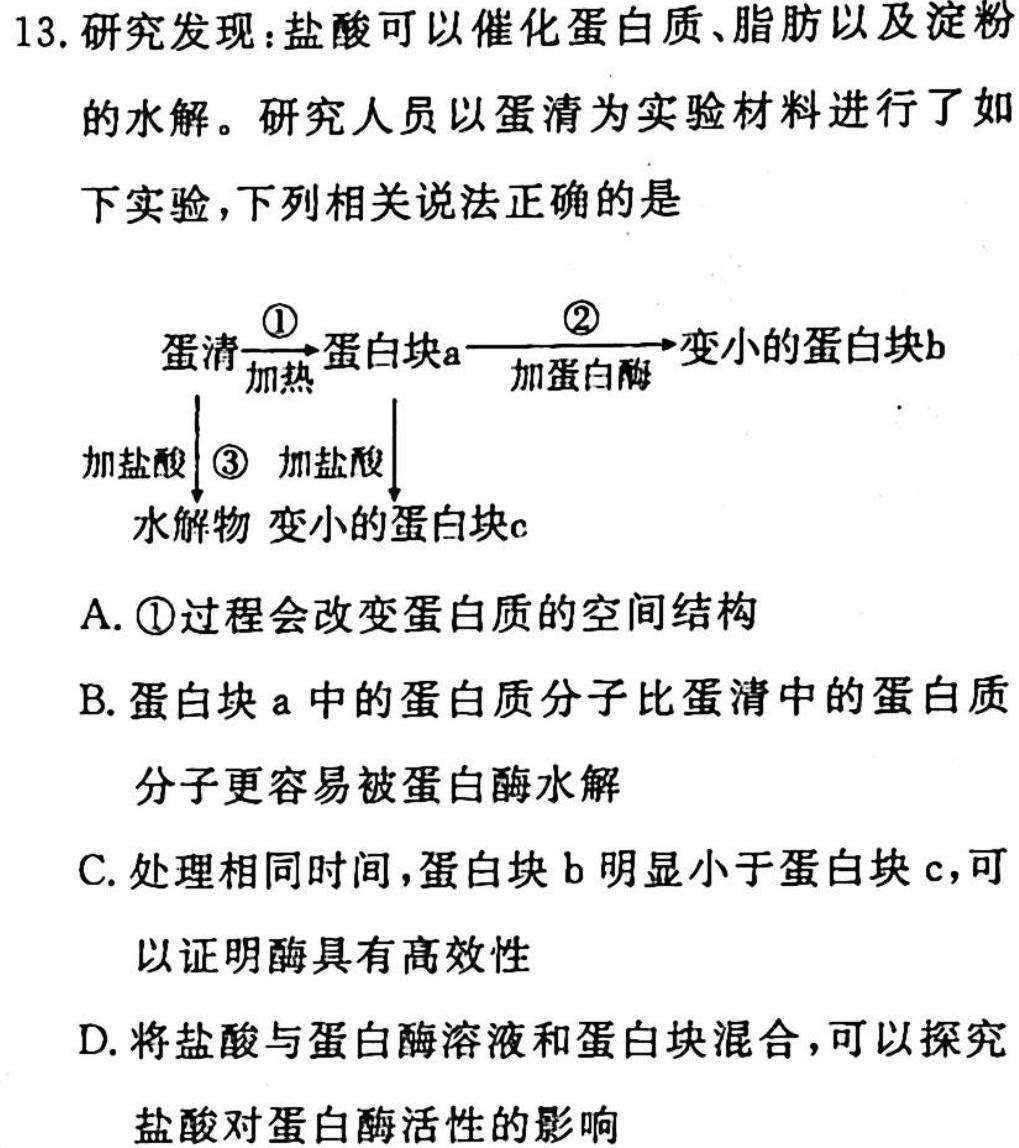 2023江西南昌一模高三3月联考各科生物