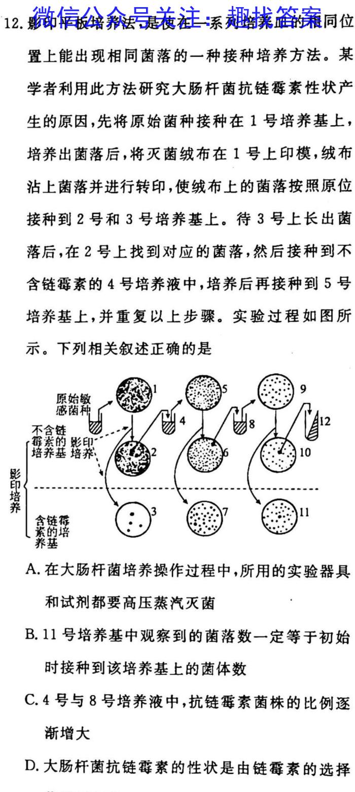 九师联盟 2022-2023学年高三2月质量检测XG生物试卷答案