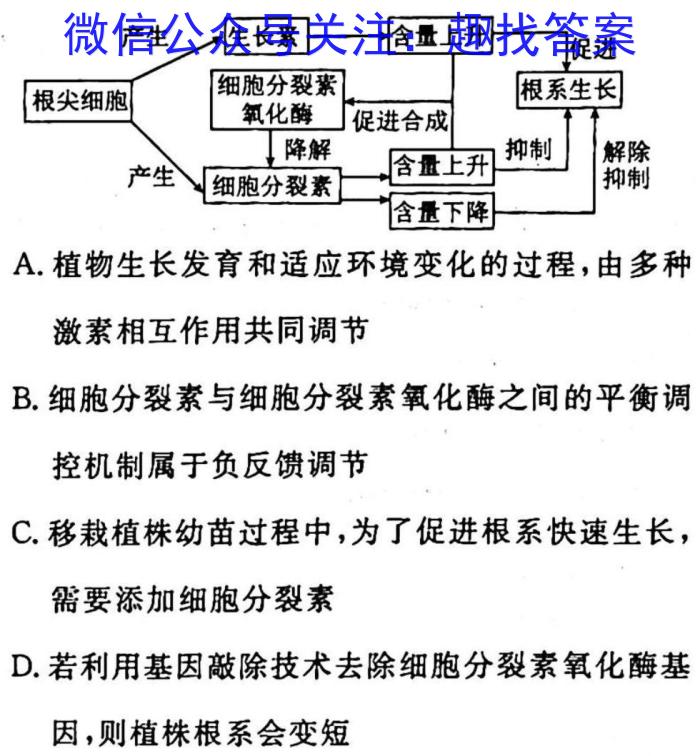 2023届湖北圆创名校联盟高三第四次联考生物