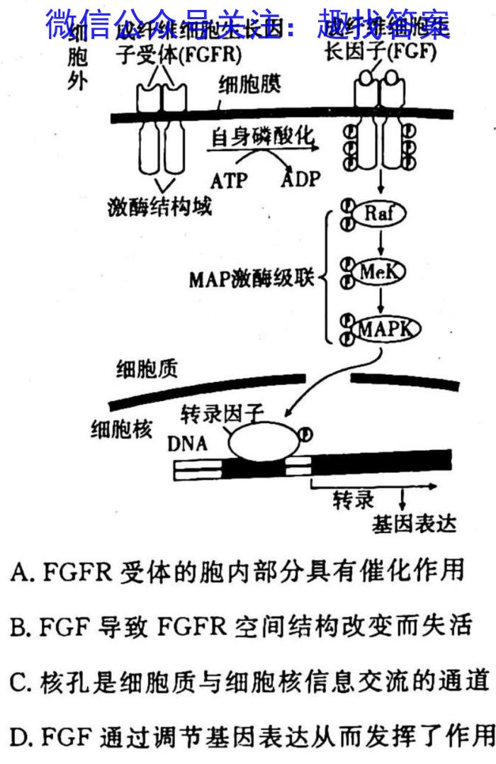 山西省2023届九年级考前适应性评估（一）（6LR）生物试卷答案