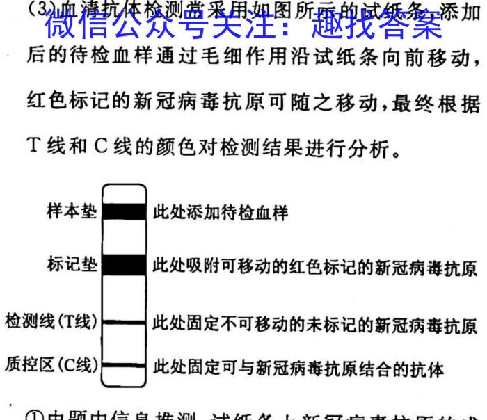 2023届普通高等学校招生全国统一考试冲刺预测·全国卷 YX-E(四)4生物试卷答案