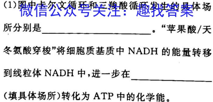 2023年全国新高考冲刺压轴卷(六)6生物