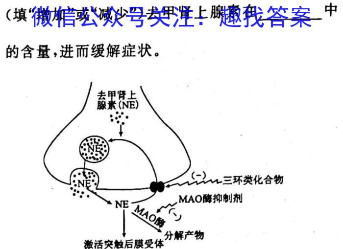 全国名校大联考2024~2023学年高三第八次联考试卷(新教材-L)生物