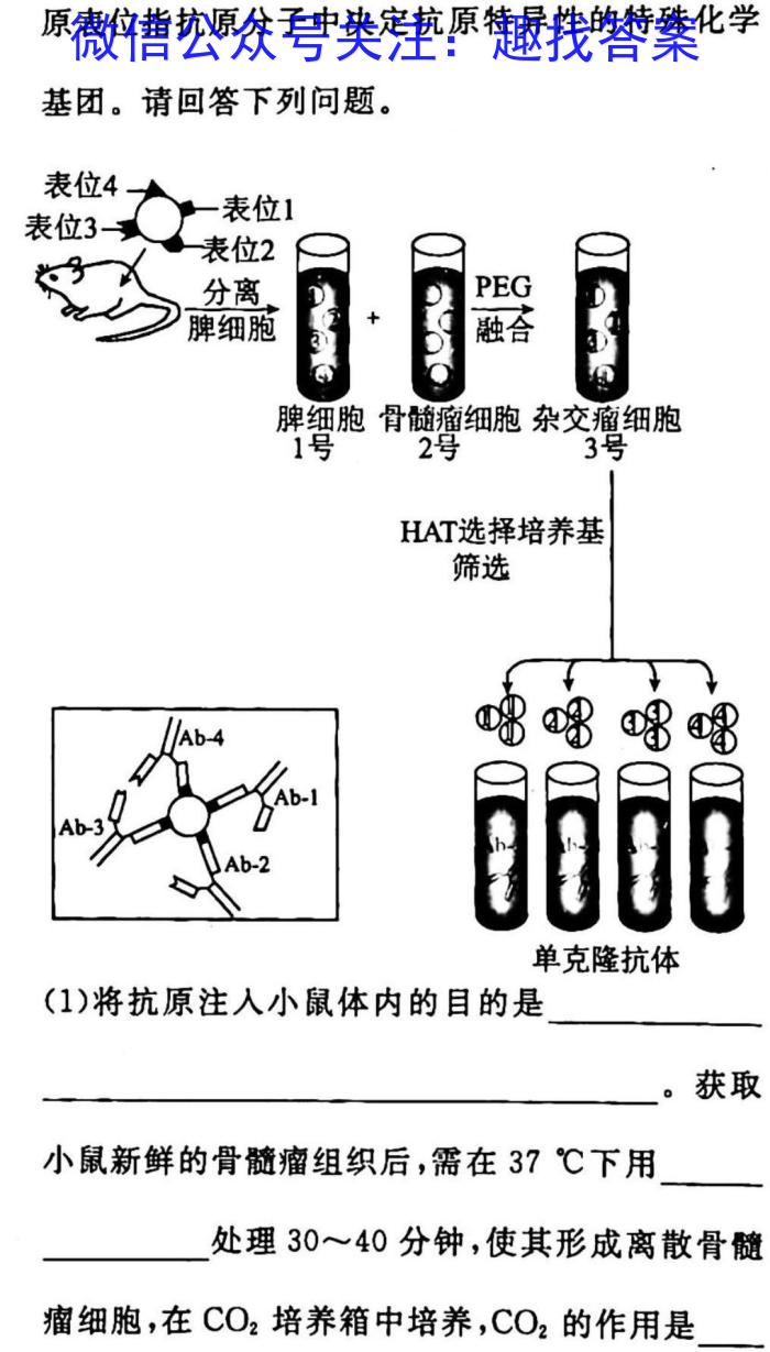 2023年河北省初中毕业班升学文化课模拟测评（六）生物