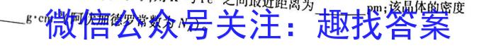 安徽省2023年九年级中考第一次模拟考试（新安中学）化学