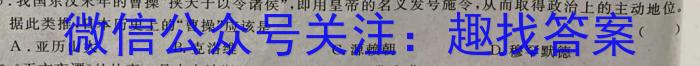 天一大联考·皖豫名校联盟2022-2023学年(下)高一年级阶段性测试(三)3历史